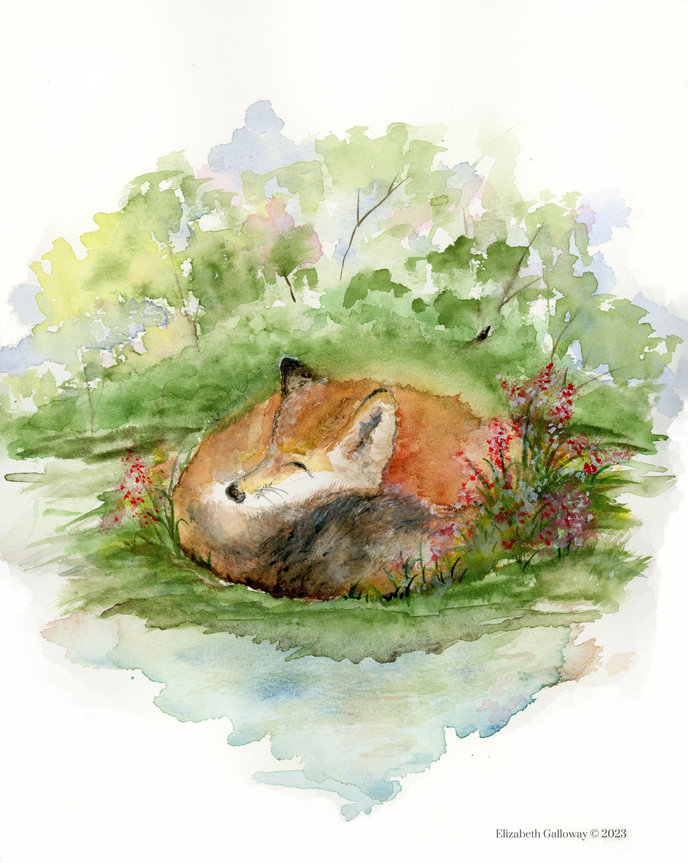 Red Fox Blank Greeting Card Original Art Print
