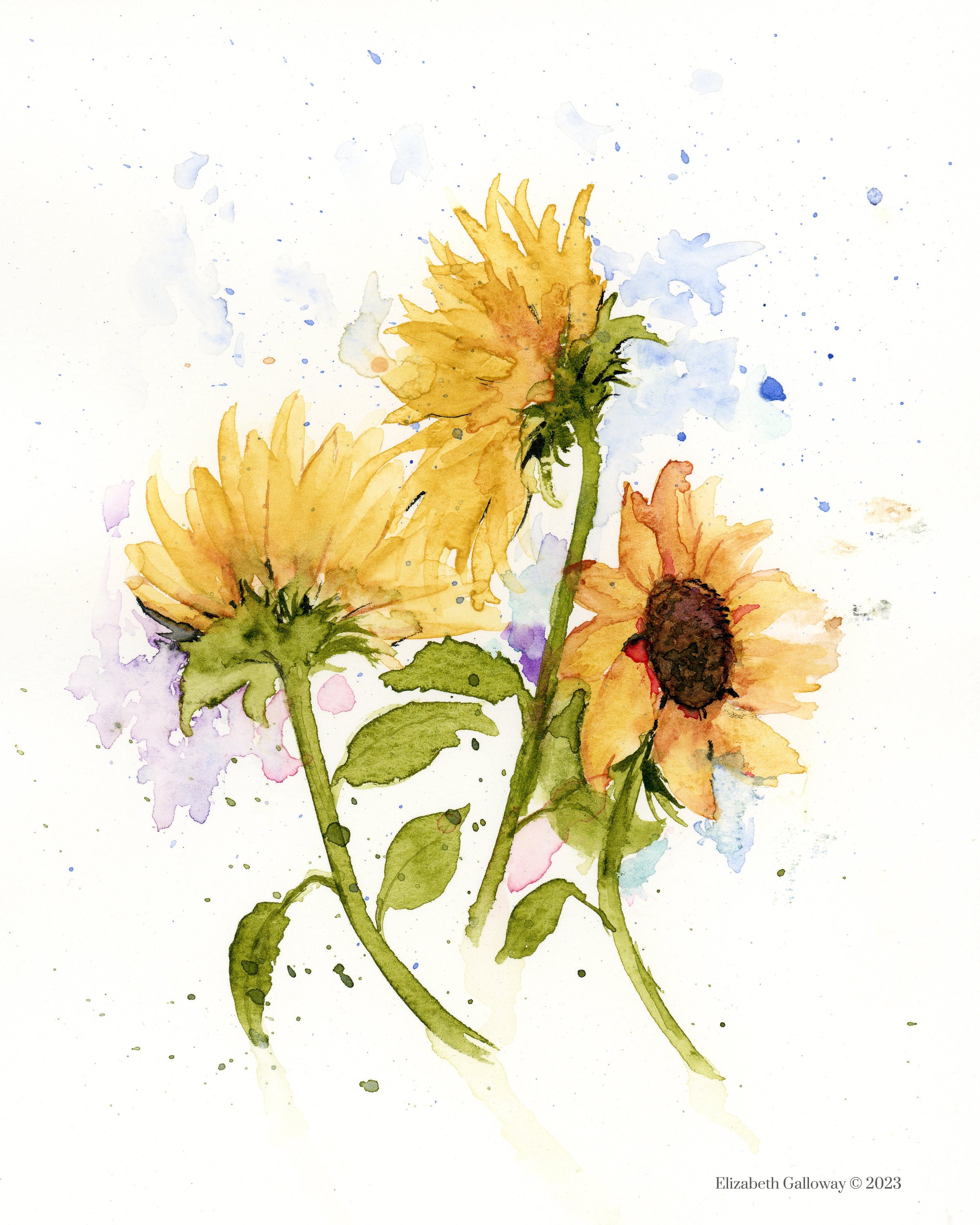 Sunflower Blank Greeting Card Original Art Print - Etsy