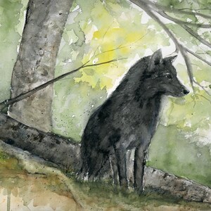 グリーティング カード オリジナル アート プリント - ブラック ウルフ 水彩画、森、オオカミ、風景