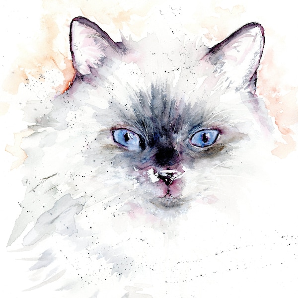 Greeting Card Original Art Print - Cat Watercolor Notecard, Kitty, Himalayan, Persian, Fluffy Cat