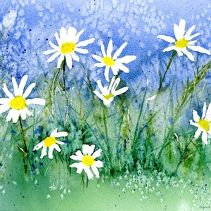Daisy Blanko Grußkarte Original Art Print