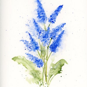 Blaue Delphinium Floral Blanko Grußkarte Original Art Print