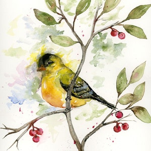 Goldfinch Watercolor Bird Painting, Original Watercolor Giclée Print