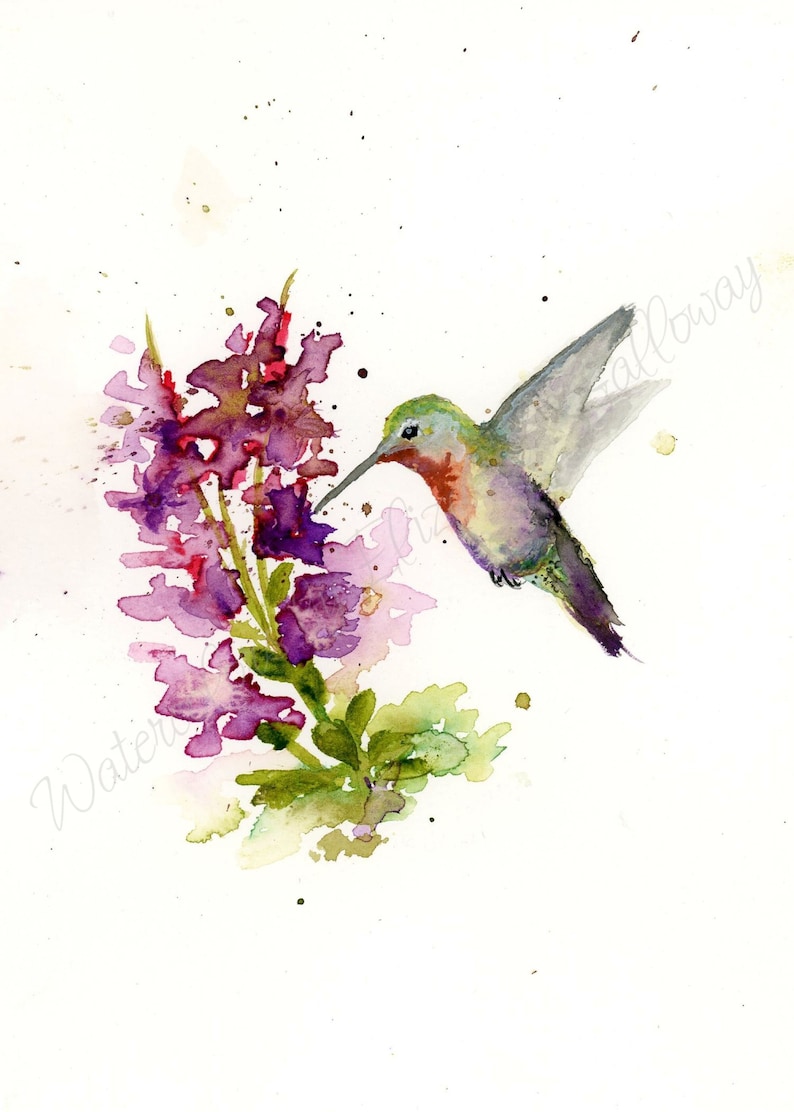 Peinture aquarelle colibri, impression aquarelle colibri, art colibri, art mural, impression de la nature image 1