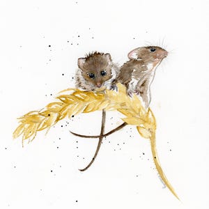 Harvest Mouse Painting, Original Watercolor Painting