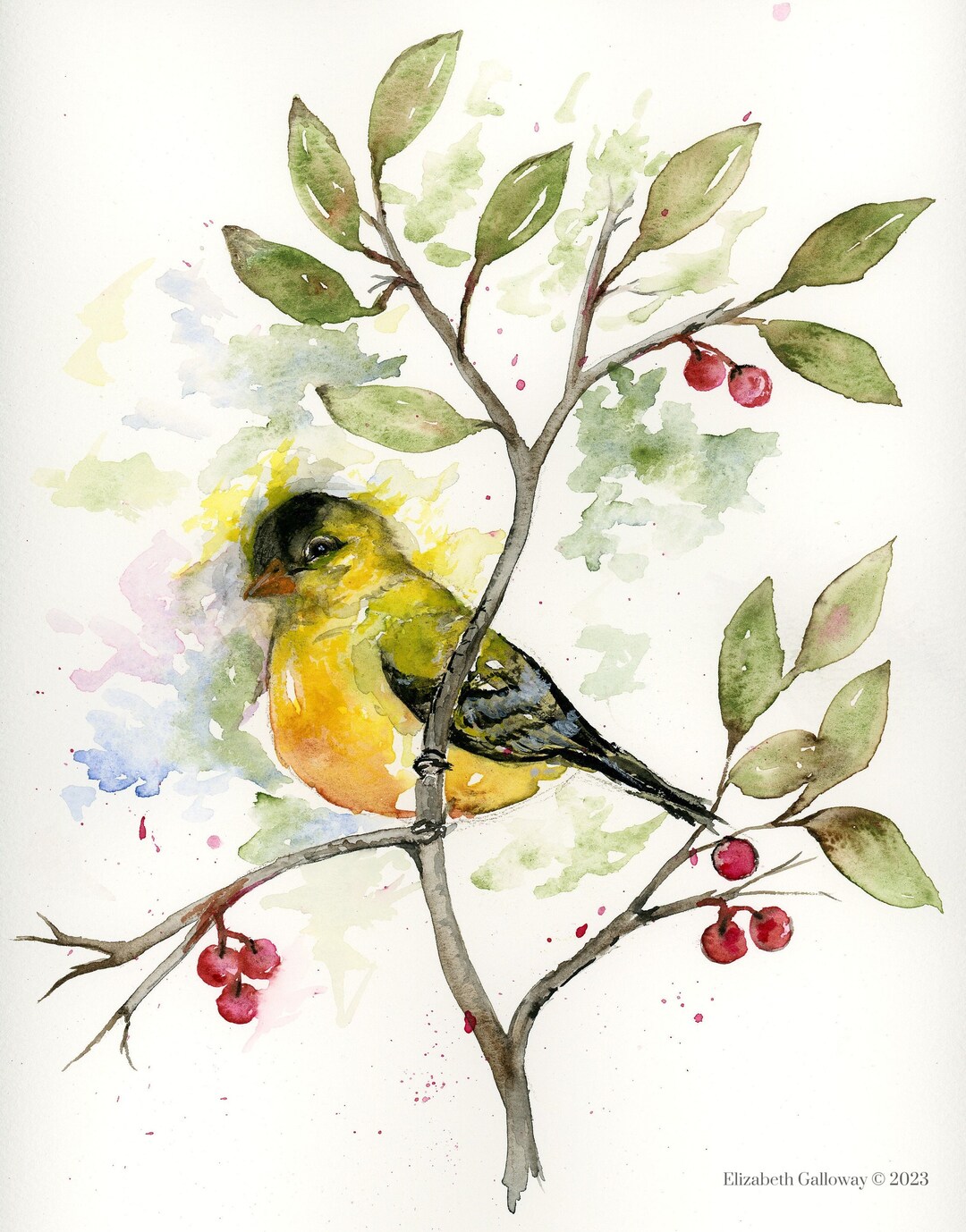 Original Goldfinch Watercolor Painting: Nature Art (11x12) - Etsy