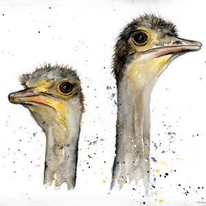 Ostrich Original Art Print - Ostrich Pair Watercolor Print, Archival Watercolor,  Giclée Print