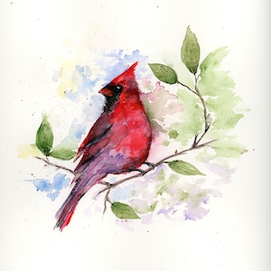Cardinal Blanko Grußkarte Original Kunstdruck