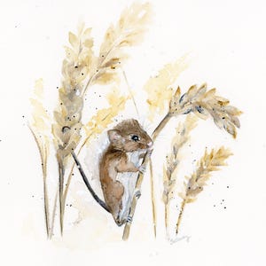 Harvest Mouse Painting, Original Watercolor Painting