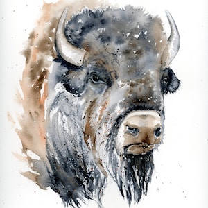 Bison Original Watercolor Print, Buffalo Archival Print