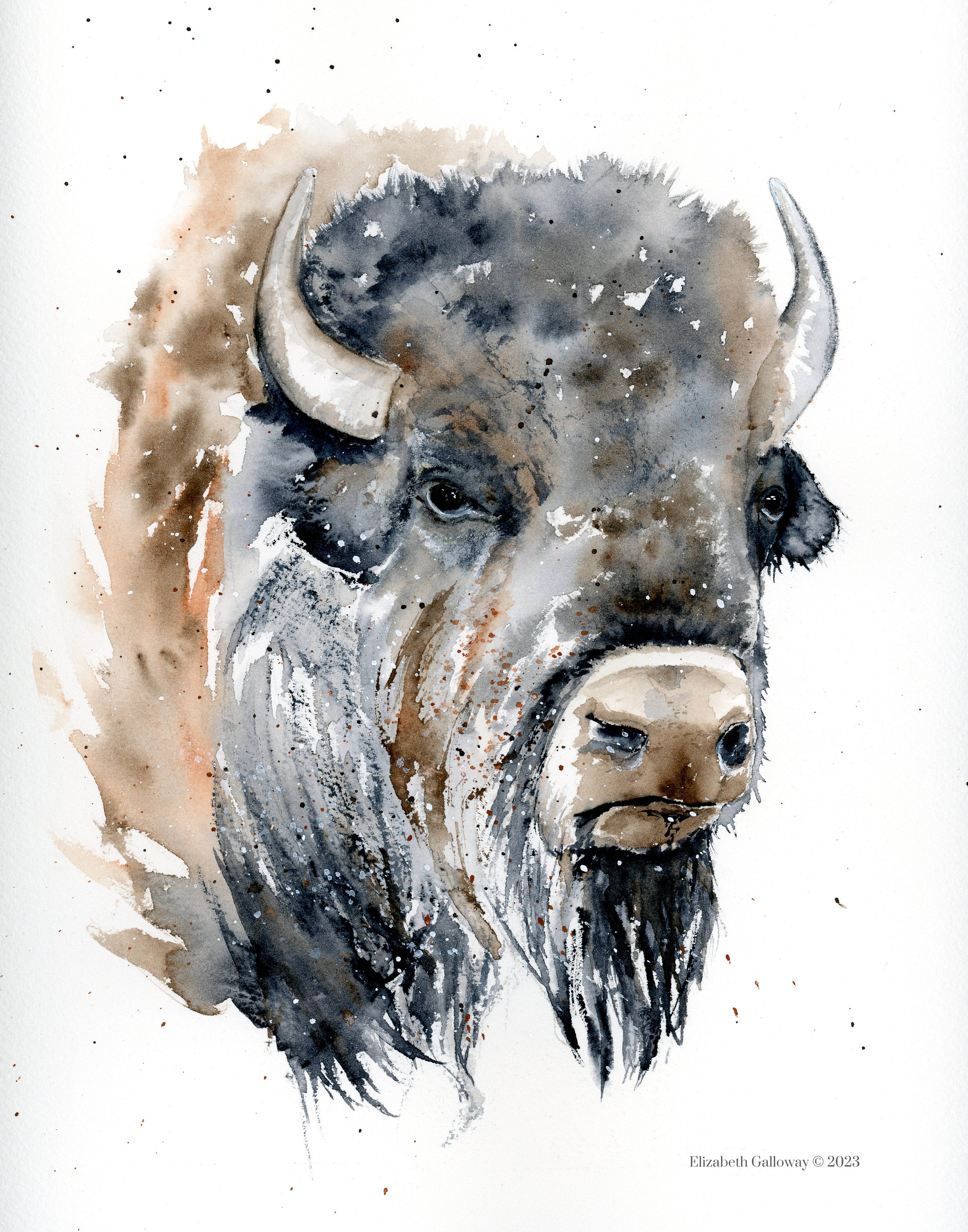 Bison Original Watercolor Print, Buffalo Archival Print - Etsy