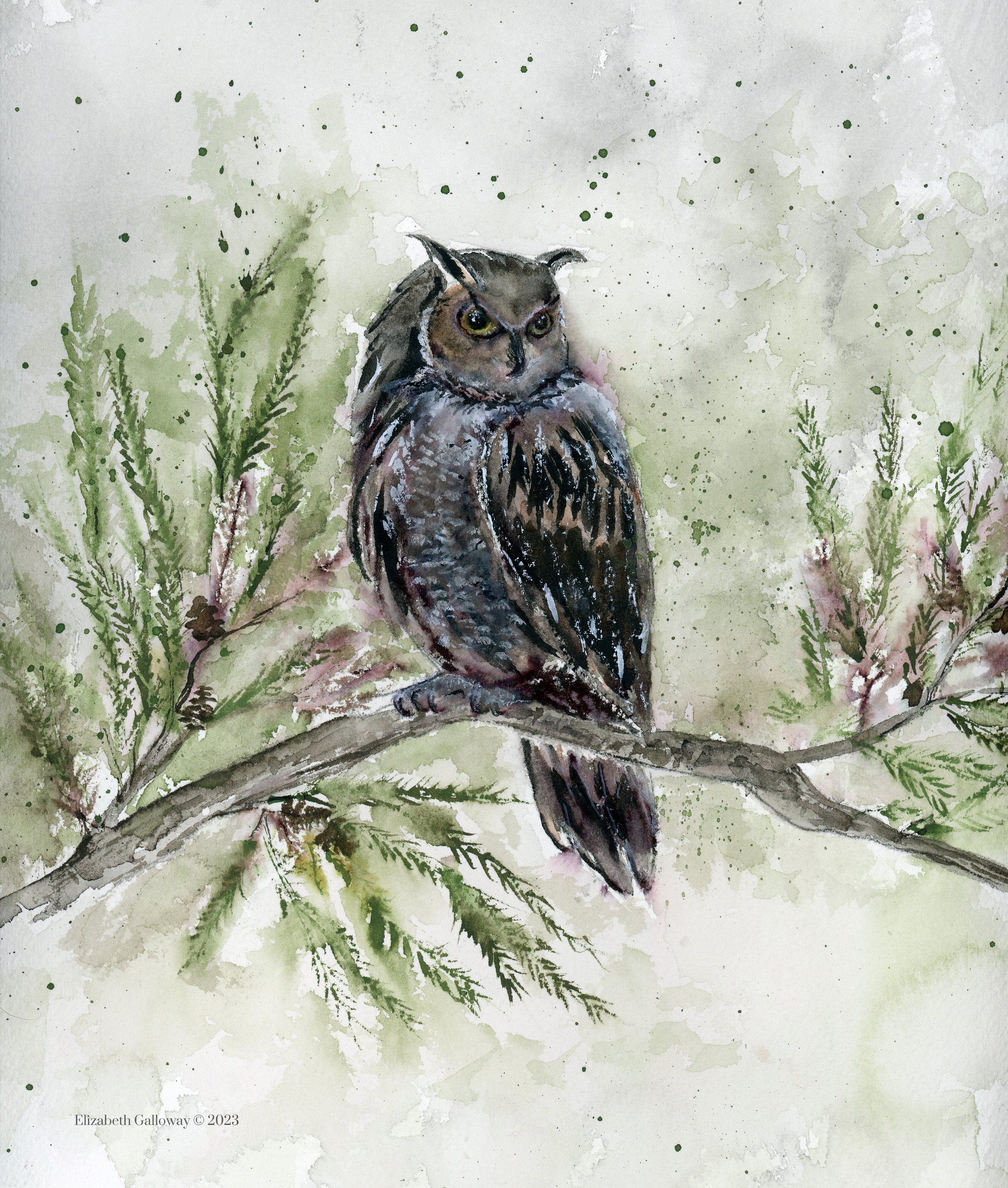Owl Archival Watercolor Print, Great Horned Owl Painting