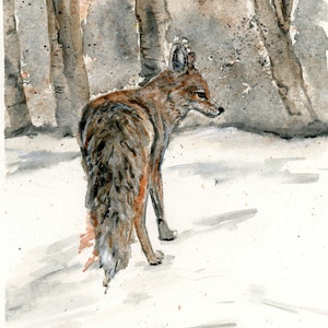 Rotfuchs Blanko Grußkarte Original Art Print