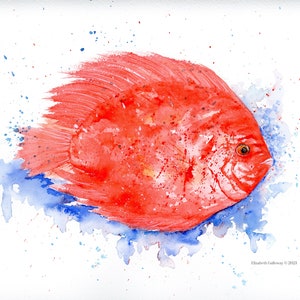Fish Painting, Original Watercolor Painting, Discus Fish, Tropical