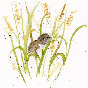 Harvest Mouse Painting, Original Watercolor Painting
