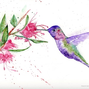 Tarjeta de felicitación en blanco, tarjeta de acuarela de colibrí, tarjeta de notas, tarjeta para todas las ocasiones, vida silvestre