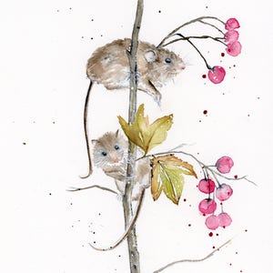 Harvest Mouse Painting, Original Watercolor Painting