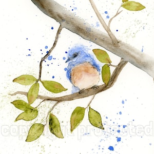 Bluebird Watercolor Painting, Bird Watercolor Print, Wall Art, Nature Print, Bluebird, Eastern Bluebird