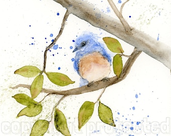 Bluebird Watercolor Painting, Bird Watercolor Print, Wall Art, Nature Print, Bluebird, Eastern Bluebird