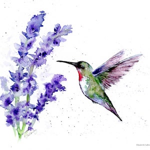 Grußkarte, Original Kunstdruck - Kolibri Aquarell Karte, Lavendelblüten