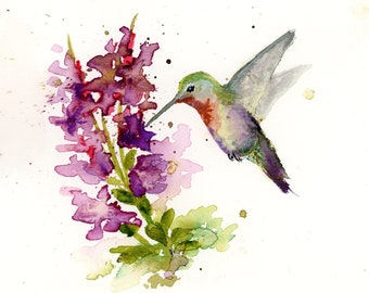 Hummingbird Variety Blank Greeting Card Set Original Art Print