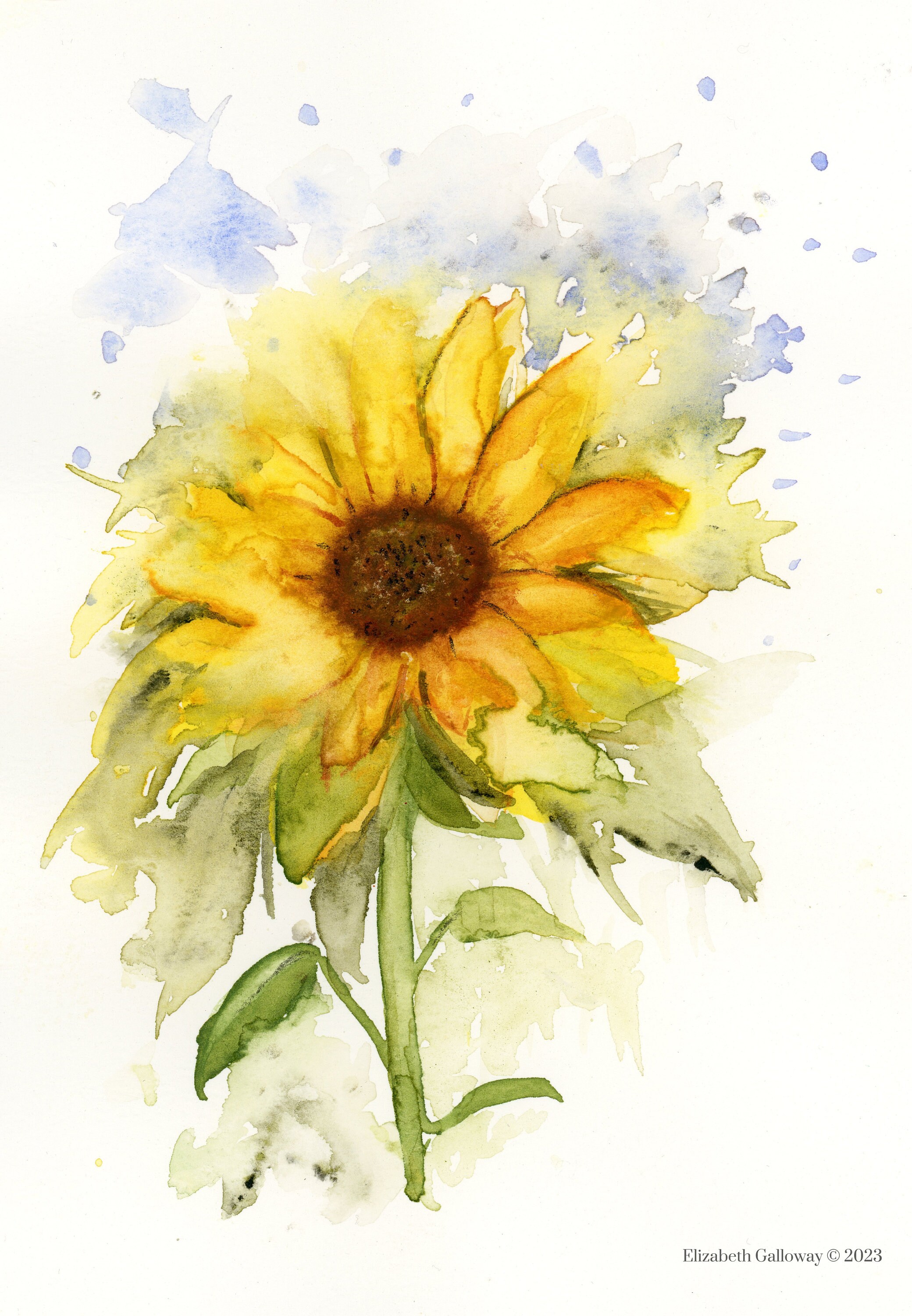 Sunflower Blank Greeting Card Original Art Print - Etsy