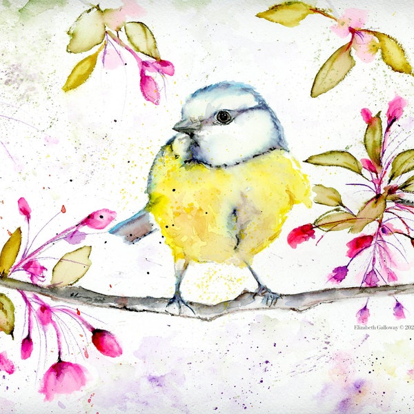 Blank Greeting Card, Blue Tit Watercolor Card, Bird Notecard, All Occasion Card, Wildlife