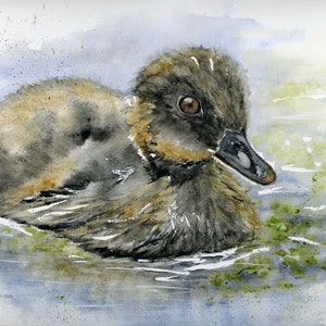 Duck Original Watercolor Print, Duckling in the pond, Giclée Watercolor Print