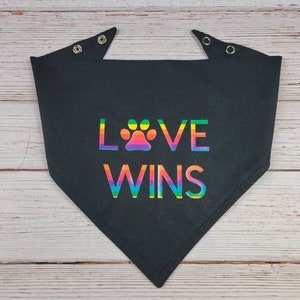 Love Wins Dog Bandana with Double Snaps