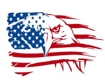May include: A stylized illustration of an eagle's head with a distressed American flag behind it. The eagle's eye is visible and the flag is red, white, and blue.