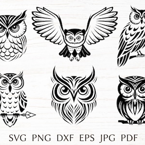 Eule svg bundle, Eulen-Silhouette-Design, Kopf Eule png Clipart.