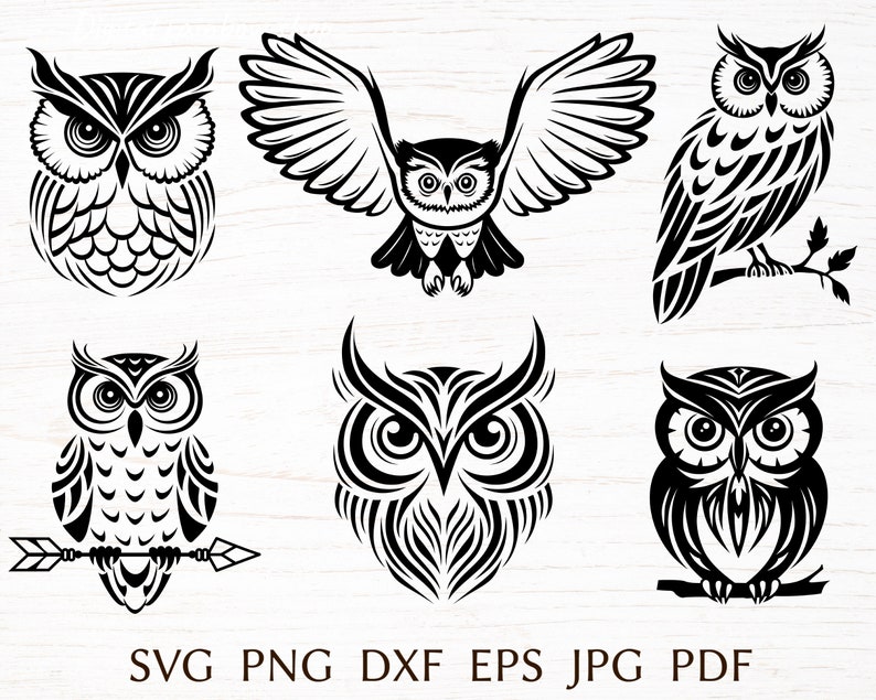 Op de afbeelding: Set van zes zwart-witte uil illustraties. De uilen zijn in verschillende poses, waaronder vliegen, op een tak zitten en recht vooruit kijken. De illustraties zijn in een eenvoudig, gestileerd ontwerp.