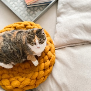 Handmade Wool Cat Bed: Crochet Pet Couch, Washable Furniture