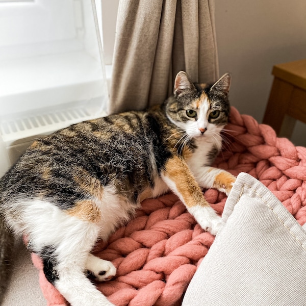 Cat BED BLANKET. Cat blanket. Cat WOOL bed. Cat Sleeping bed. Cat couch blanket. Washable cat bed. Cat knit couch. Cat chunky knit blanket.