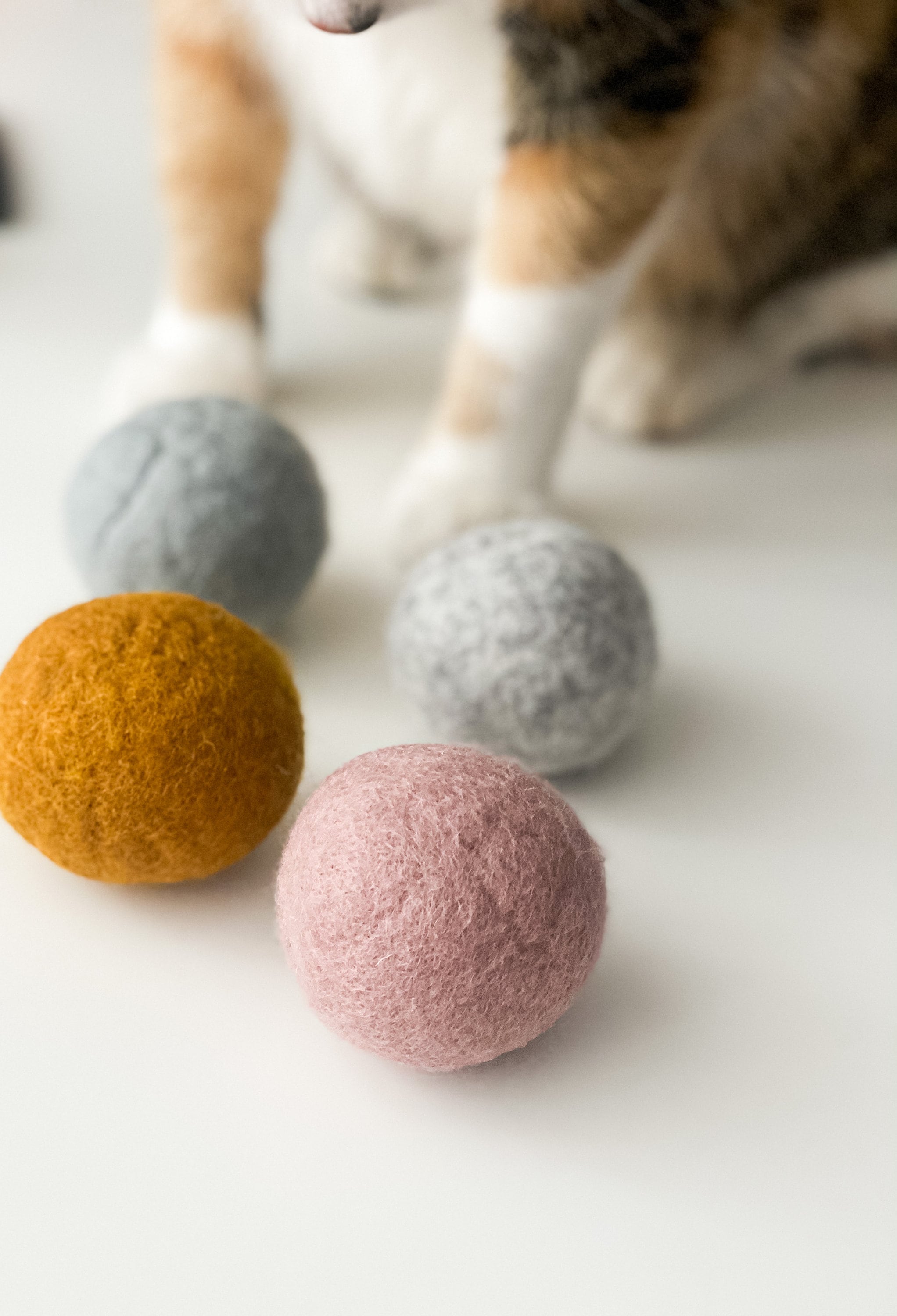 custom cat toys