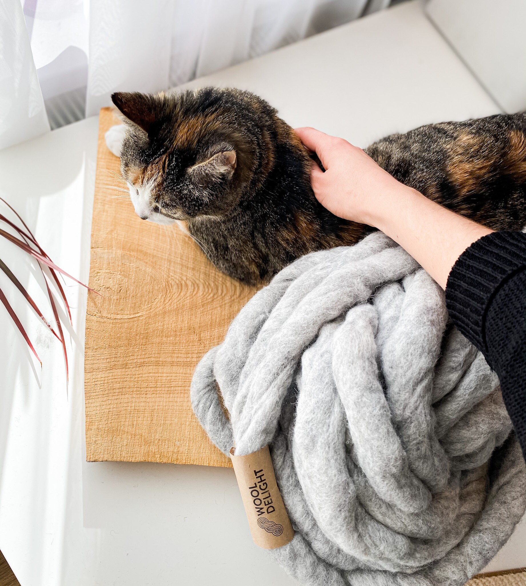 Cat blanket bed deals