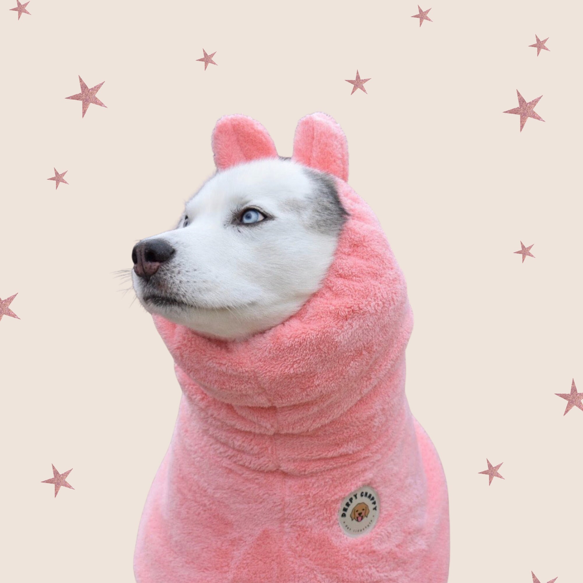 Premium Dog Bathrobe Absorbent Microfiber Robe for Small Etsy