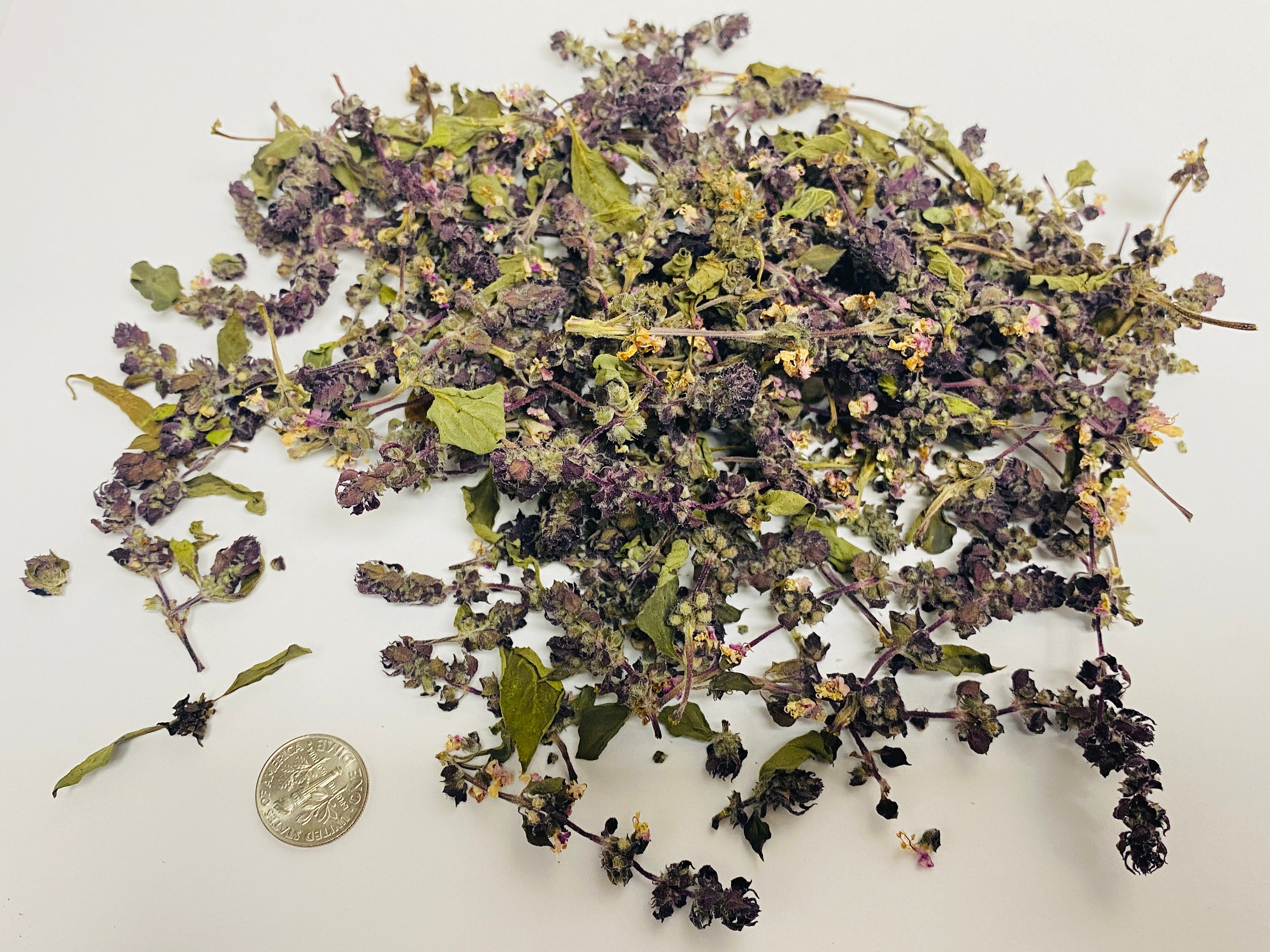 1 oz Dried Thai Basil Flower Seasonings Dried Herbs Herbal Etsy