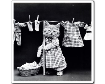 Ugrinovich Cat 1969 Photo by G Postcard