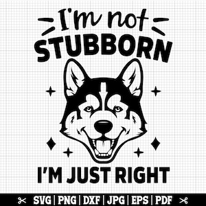 Eu não sou teimoso, sou perfeito - Funny Husky SVG para Cricut Silhouette, Husky Life SVG - Download instantâneo