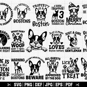 Boston Terrier SVG-bundel, Boston Terrier voor Cricut Silhouette, American Gentleman Svg, Boston Dog Svg - Instant Download