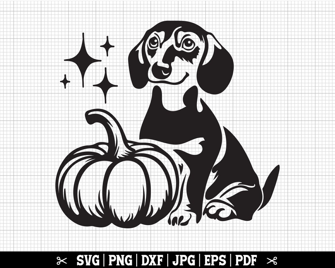 Fall Dachshund Pumpkin SVG For Cricut And Silhouette Weiner Dog Svg Il 1080xN.5998802148 4lvy