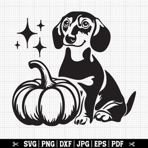 Herbst Dackel Kürbis SVG für Cricut und Silhouette, Weiner Hund SVG, Herbst Doxie SVG, Kürbis Hund SVG - Kommerzielle Nutzung