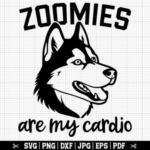 Zoomies Are My Cardio - Husky SVG pour Cricut Silhouette, fichier de coupe Husky - téléchargement immédiat - SVG Png Eps Pdf Jpg Pdf