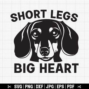Korte benen groot hart Svg, grappige teckel SVG, teckel Cricut, teckel Shirt Svg, Doxie Svg, worsthond, Weiner Dog Svg