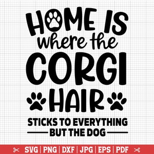 Zuhause ist, wo das Corgis-Haar ist SVG, lustiges Corgis-Svg, Corgis-Zeichen, Corgis Png, Corgis-Svg für Cricut Silhouette, lustiges Corgis-Zitat