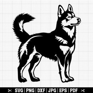 Silhouette Husky, vecteur Husky, SVG Husky, Illustration Husky, clipart Husky pour Cricut - téléchargement immédiat - SVG Eps Png Jpg Dxf Pdf