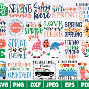 Spring Bundle SVG | Spring Life SVG Bundle | Spring Gnomes - Sayings - Signs | Spring Market Svg | Spring Signs Svg | Cricut - Silhouette