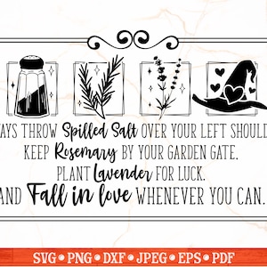 Siempre tirar sal derramada SVG / Cocina de bruja SVG Signo / Signo de granja / Bruja Svg / Signo de Halloween / Brujería Svg / Otoño Svg