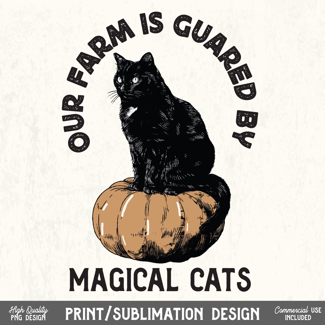 Funny Black Cat Halloween PNG | Retro Witch Sublimation Design, Pumpkin ...